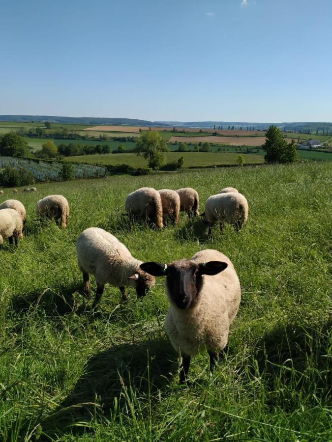 Zuid Limburg Huisje Josefien Simpelveld Exterior foto